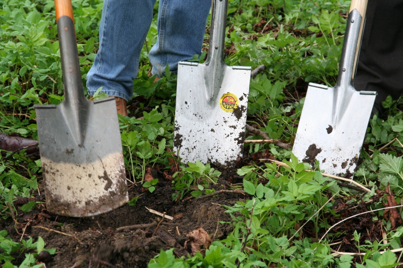 pepiniere-SAORGE-min_work-lawn-flower-tool-green-backyard-1103633-pxhere.com